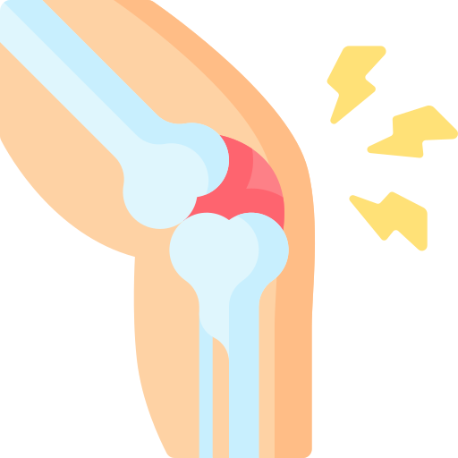 Orthopaedics Icon