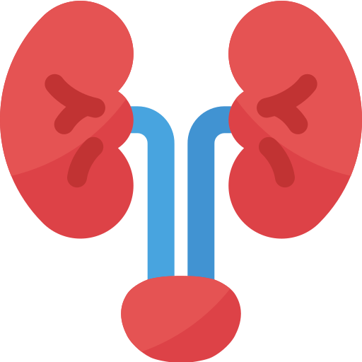 Urology Icon