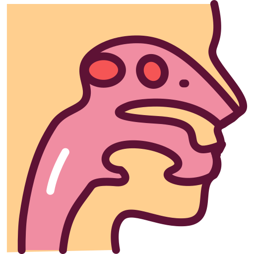 ENT Icon